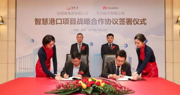 日照企業創奇跡 90天吞吐億噸，信息服務助力利潤突破4億