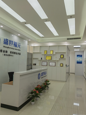 武漢盛世福元信息咨詢 專業服務，精準導航